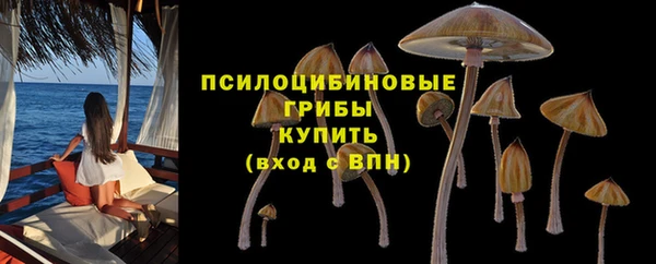 бошки Горнозаводск