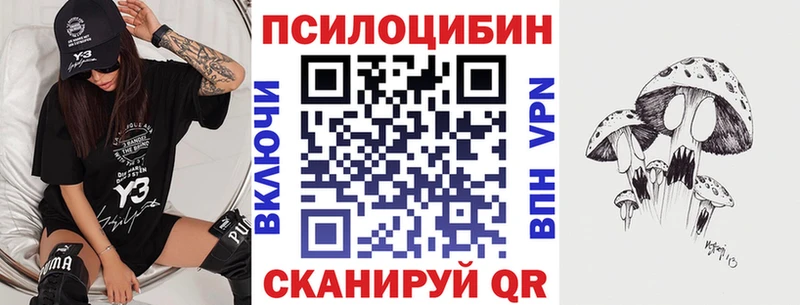 Купить  Людиново  Галлюциногенные грибы Cubensis 
